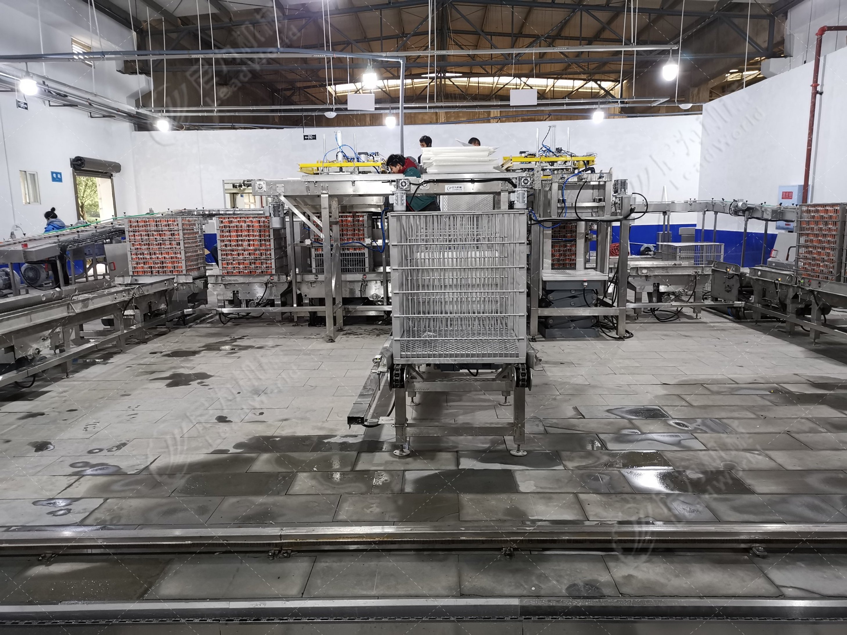 Pet Dog Food Making Production Line  Canned Wet Pet Food Production Line