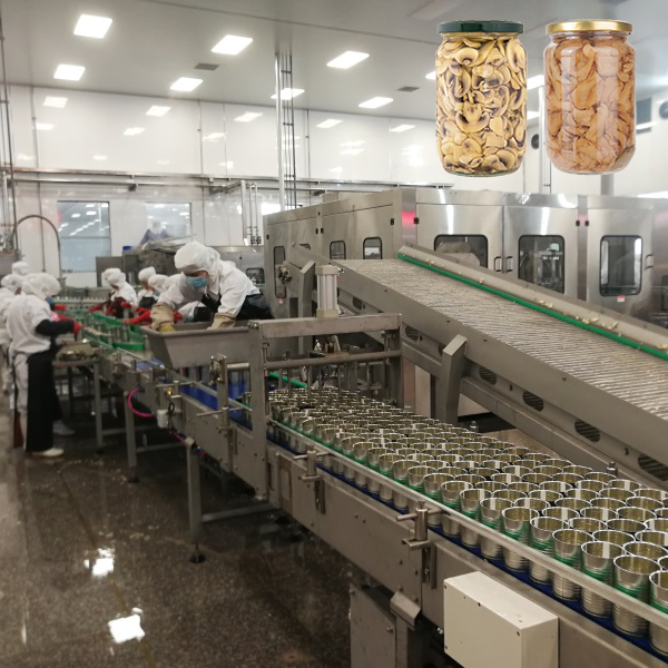 Fully Automatic Commercial Canned Mushroom Making Plant Cucumber Pickles Production Line