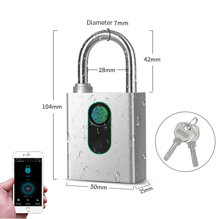 Finger Thumb Print Electronic Zinc Alloy Keyless Security Mini Touch Pad Luggage Cabinet Fingerptint Smart Padlock Locks