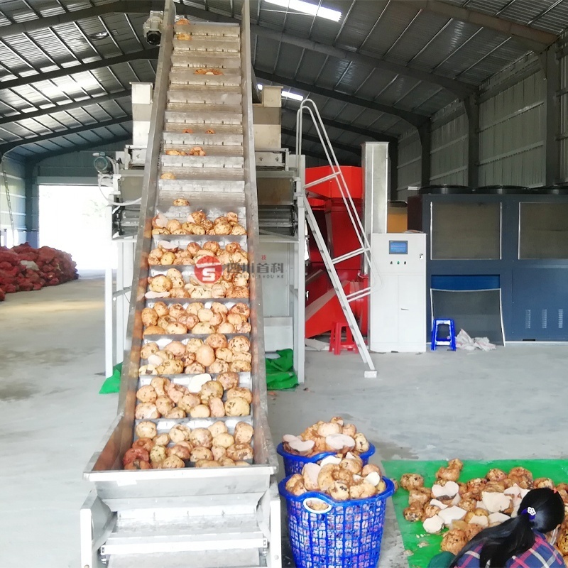 Shouchuang Oem Dried Konjac Cassava Chip Processing Machine PLC Control Konjac Porang Cassava Vegetable Dryer Machine