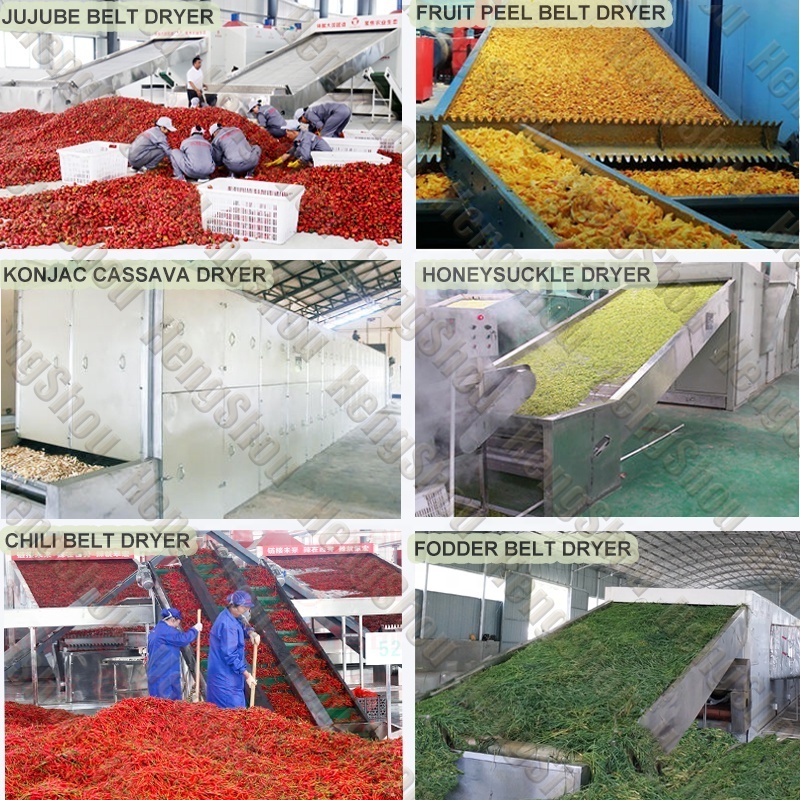 Manufacture Chilli Pepper Chili Mesh Belt Dryer Automatic Multifunctional Vegetable Fruit Drying Machine