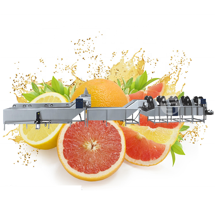 Tomato/strawberry cleaning machine vegetable washer fruit washing machine Fruit Vegetable Processing Machines