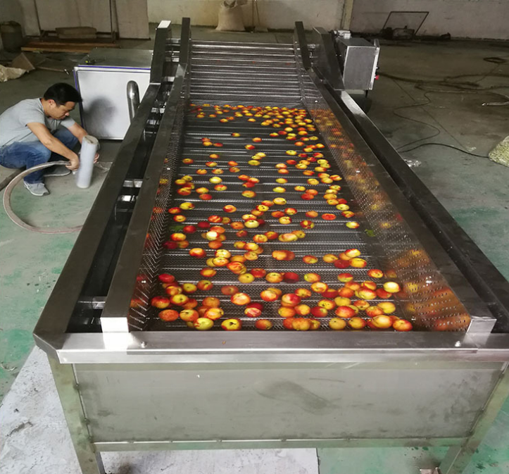 Tomato/strawberry cleaning machine vegetable washer fruit washing machine Fruit Vegetable Processing Machines