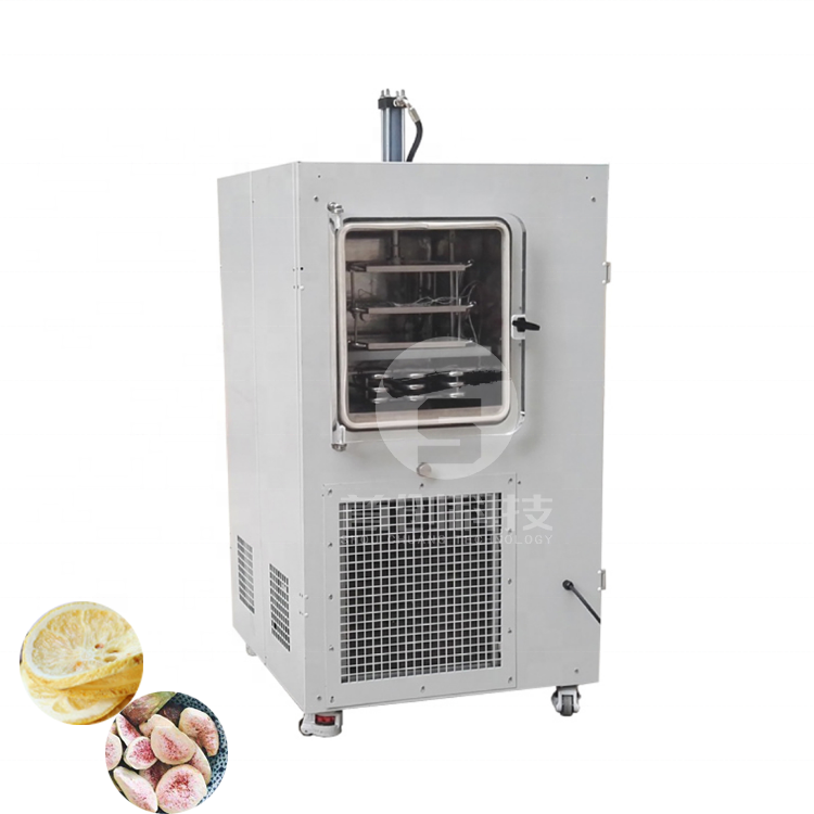 High Performance China Freeze Drying Equipment, Freeze Drying Machine Price Beef Fruit Vegetable Vacuum Freeze Dryer