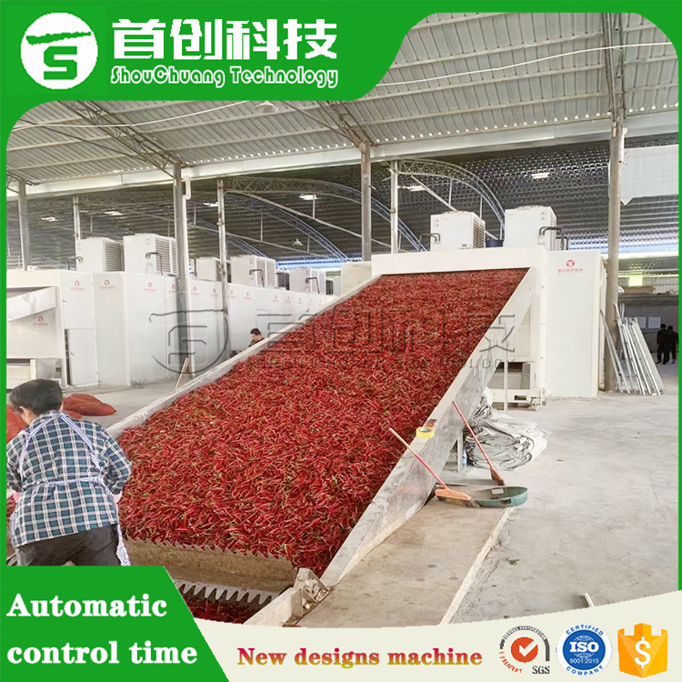 Manufacture Chilli Pepper Chili Mesh Belt Dryer Automatic Multifunctional Vegetable Fruit Drying Machine