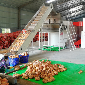 5000kg/h Factory Peach Apricot Konjac Processing Line Dried Coconut Fiber Almond Konjac Processing Machine