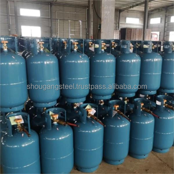 High quality 3kg/5kg camping gas cylinder Refillable Filling Empty LPG Cylinder Cooking Gas Cylinder For Home Use