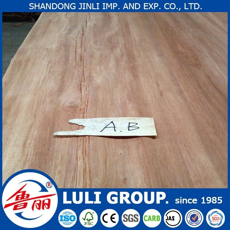 plywood veneer recon gurjan face veneer