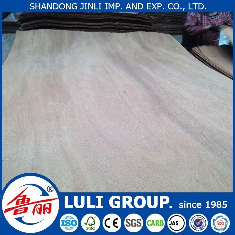 plywood veneer recon gurjan face veneer