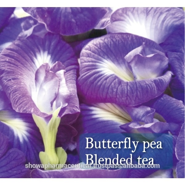 Tea detox diet sliming herbal flower beauty butterfly pea tea for health & Japanese drink made in Japan oem possible