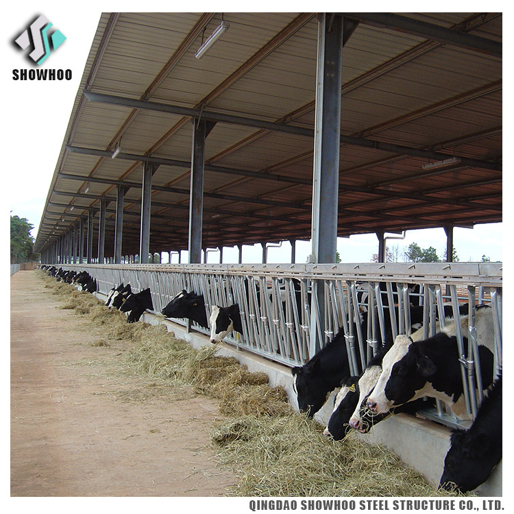 Prefabricated Prefab Cattle Cow Goat Dairy farming Shed with Design