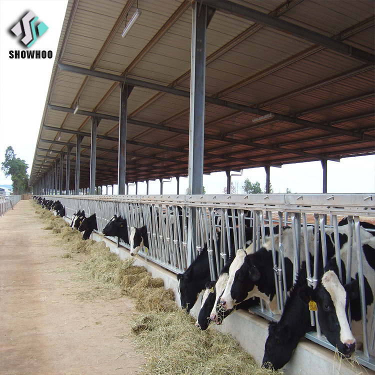 Light Steel Structure Cow Farm Building Prefabricated Cowshed For Sale