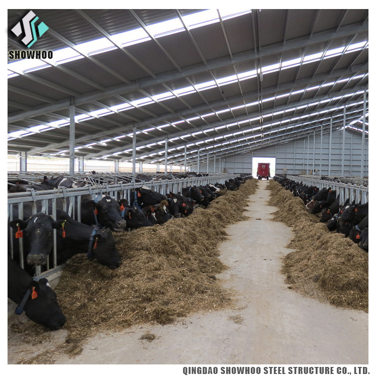 Light Steel Structure Cow Farm Building Prefabricated Cowshed For Sale