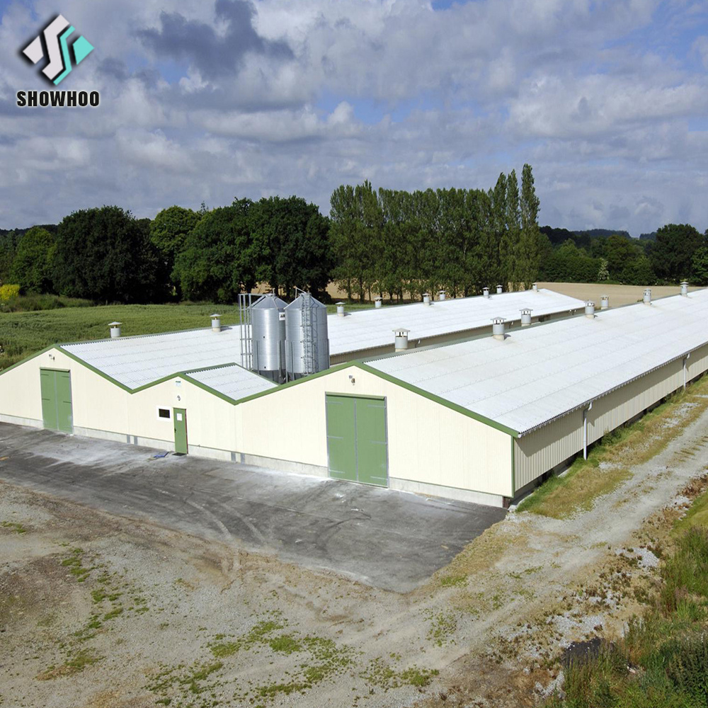 30000 Birds closed type environmental controlled Large Scale Poultry Farm Building commercial bird chicken house