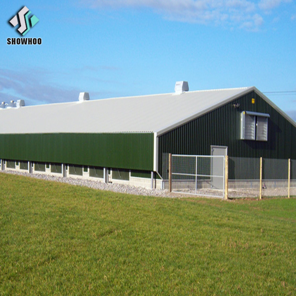 30000 Birds closed type environmental controlled Large Scale Poultry Farm Building commercial bird chicken house