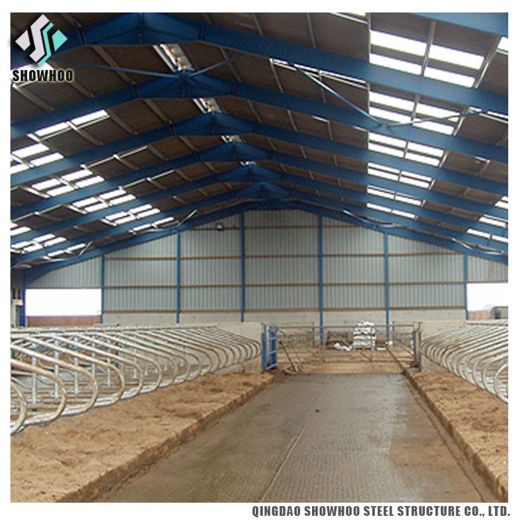 Prefabricated Prefab Cattle Cow Goat Dairy farming Shed with Design