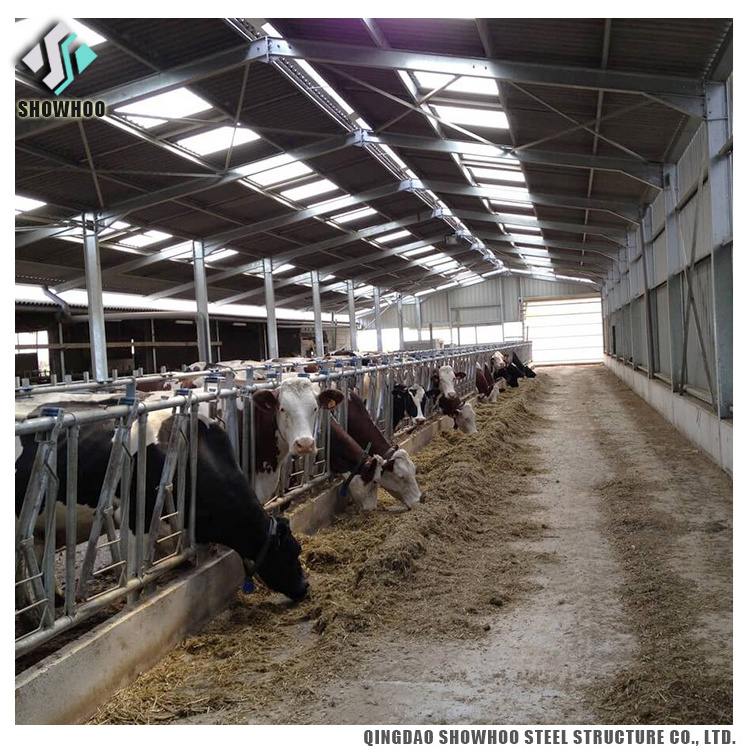 Light Steel Structure Cow Farm Building Prefabricated Cowshed For Sale