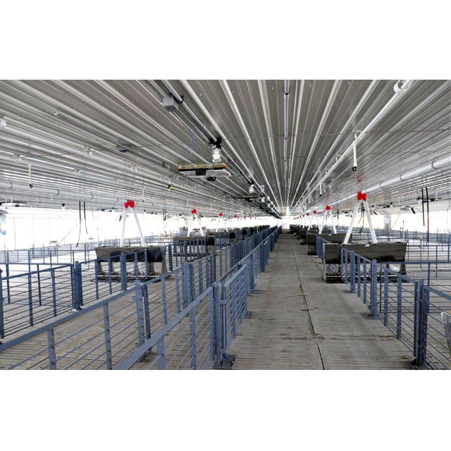 Low Cost Prefab Pig House Shed Light Steel Frame Structure Building Design Prefabricated Construction Farm