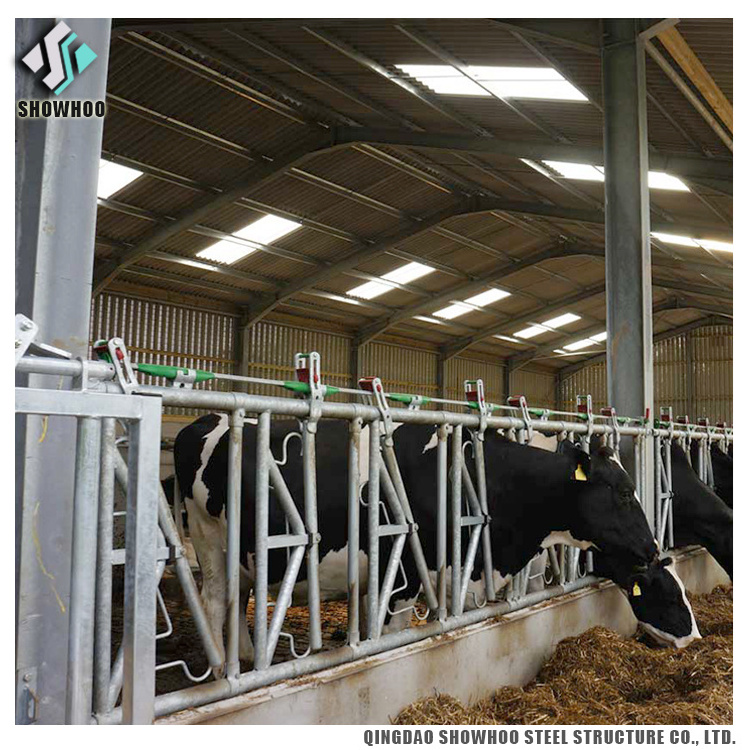 Light Steel Structure Cow Farm Building Prefabricated Cowshed For Sale