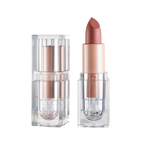 New Style OEM Factory Custom Logo Private Brand Water Proof Chinese Silky Lipstick