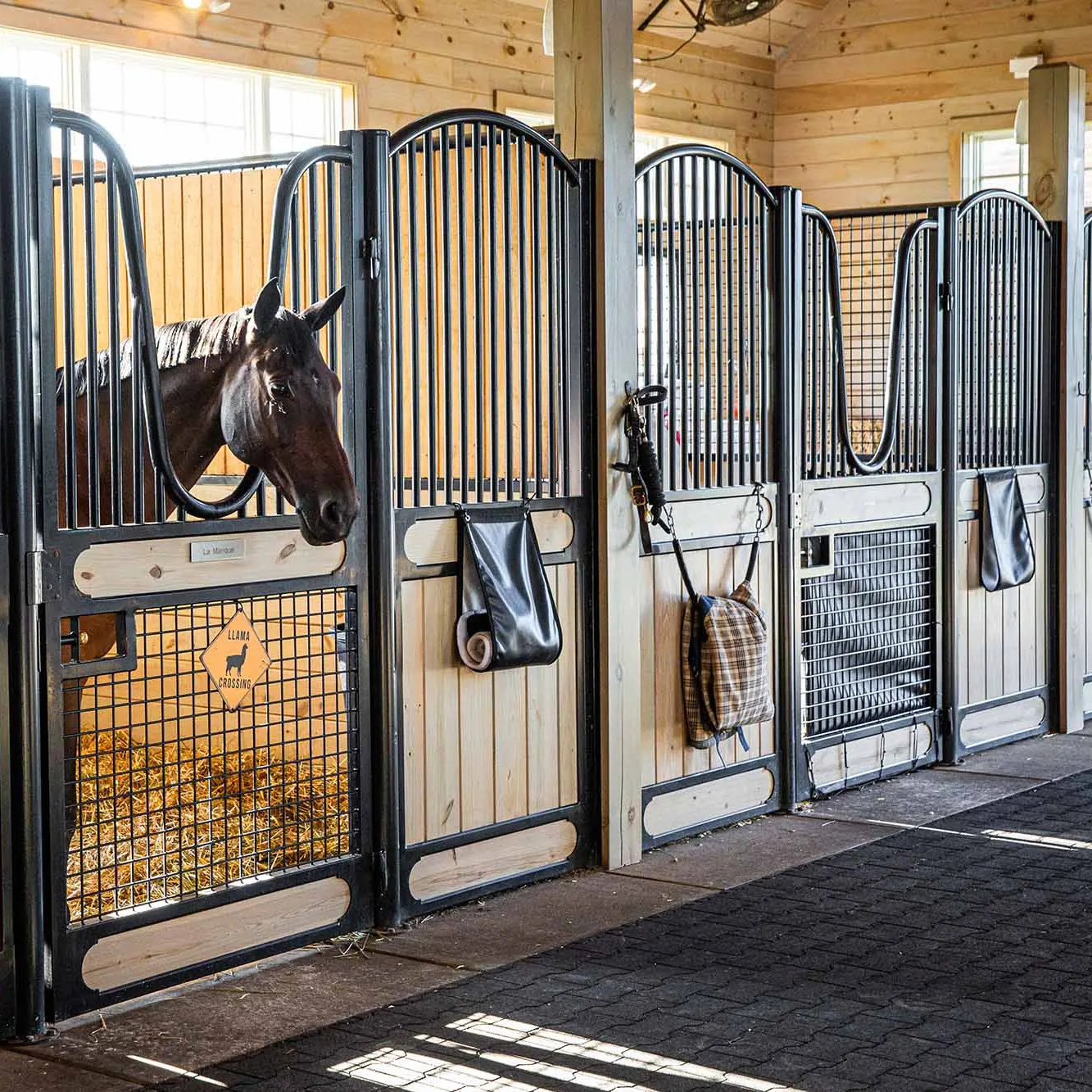 horse stable feeders stables horse shed horse stable stall fronts