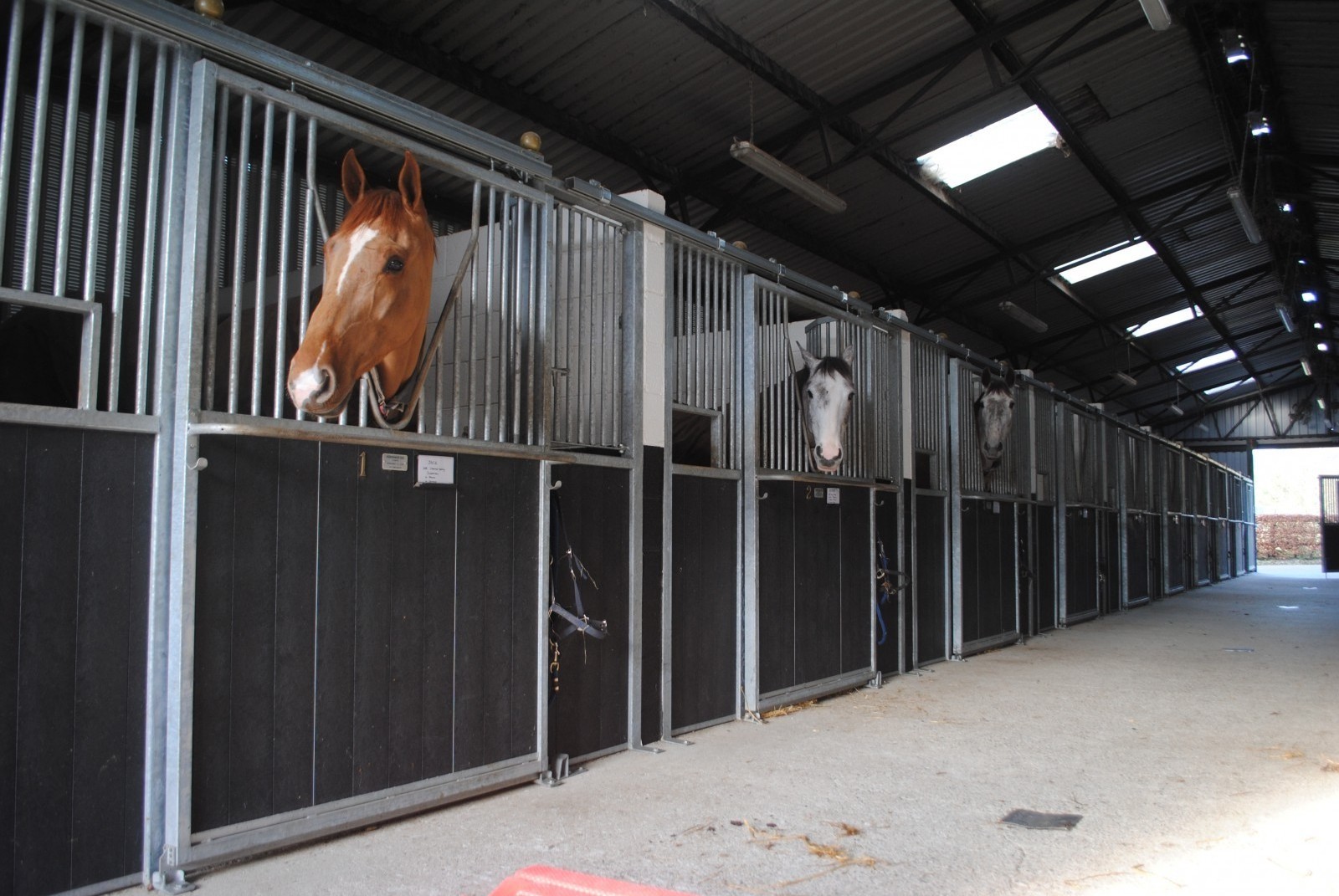 horse stable feeders stables horse shed horse stable stall fronts