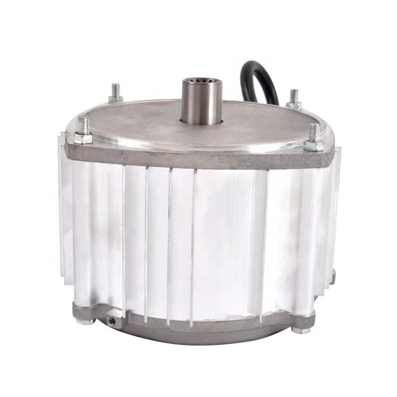 Tricycle Deceleration DC Brushless Motor Black Battery Waterproof Ce GEAR MOTOR 36v 1000w Brushless Motor Permanent Magnet IE 1