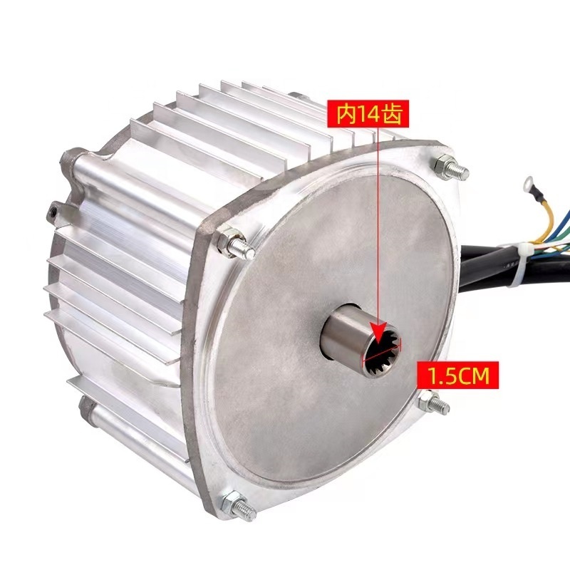 Tricycle Deceleration DC Brushless Motor Black Battery Waterproof Ce GEAR MOTOR 36v 1000w Brushless Motor Permanent Magnet IE 1