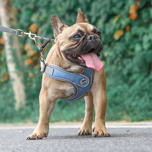 Wholesale Dog Breast Sling Pet Supplies New Small and Medium-sized Dogs Reflective Anti-strike Vest Dog Leash