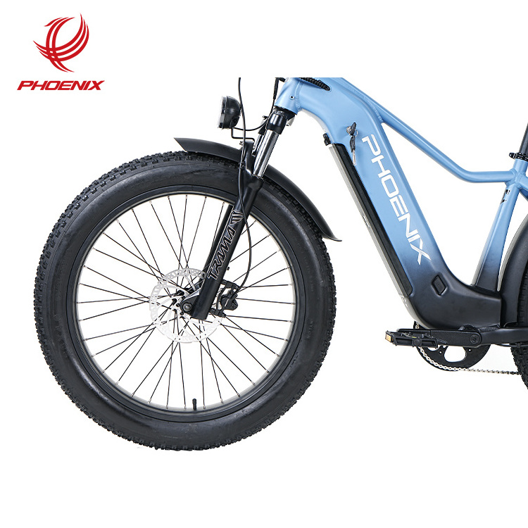 Phoenix Customized Direct Sales Electric Mountain Bike Off Road Fat Tire Adult Electric Bicycle