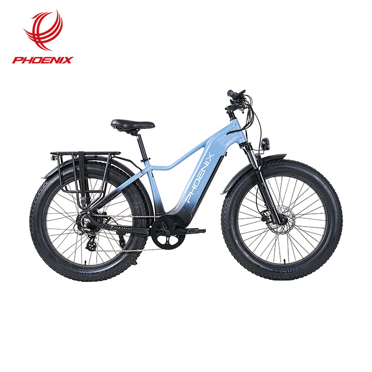 Phoenix Customized Direct Sales Electric Mountain Bike Off Road Fat Tire Adult Electric Bicycle