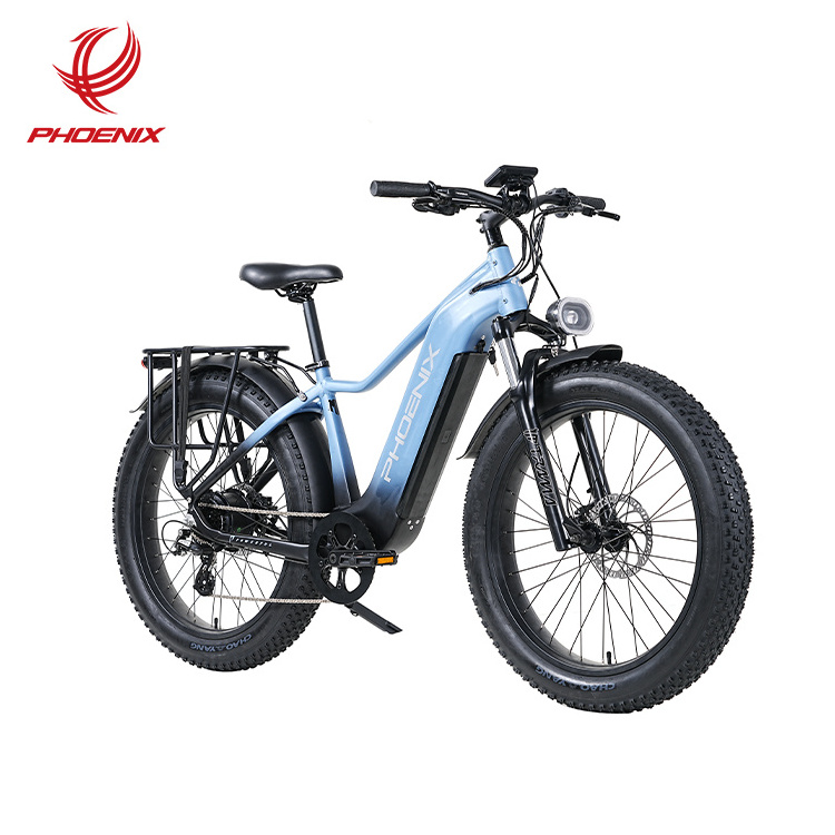 Phoenix Customized Direct Sales Electric Mountain Bike Off Road Fat Tire Adult Electric Bicycle