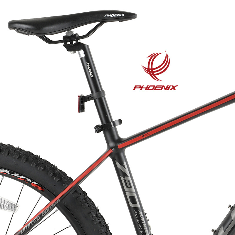 Phoenix 26 Inch Mountain Bike L-Two 10 Speed Mountain Bike Aluminum Frame Mtb Hydraulic Brake Bicycle