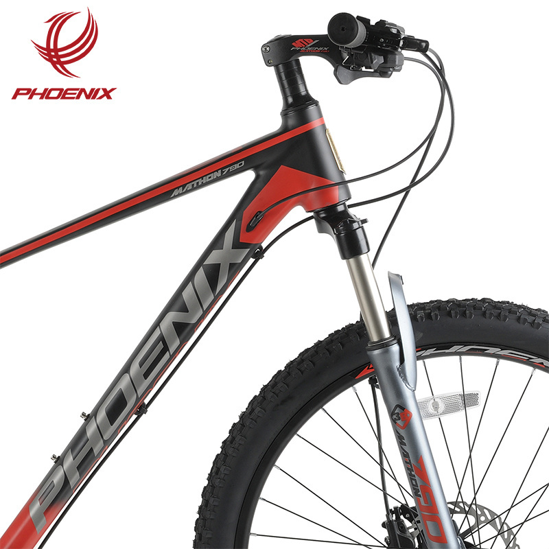 Phoenix 26 Inch Mountain Bike L-Two 10 Speed Mountain Bike Aluminum Frame Mtb Hydraulic Brake Bicycle