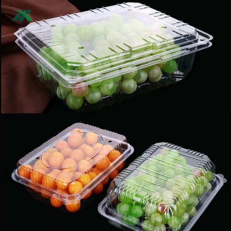 Custom clear salad packaging container disposable PET plastic strawberry fruit clamshell punnet