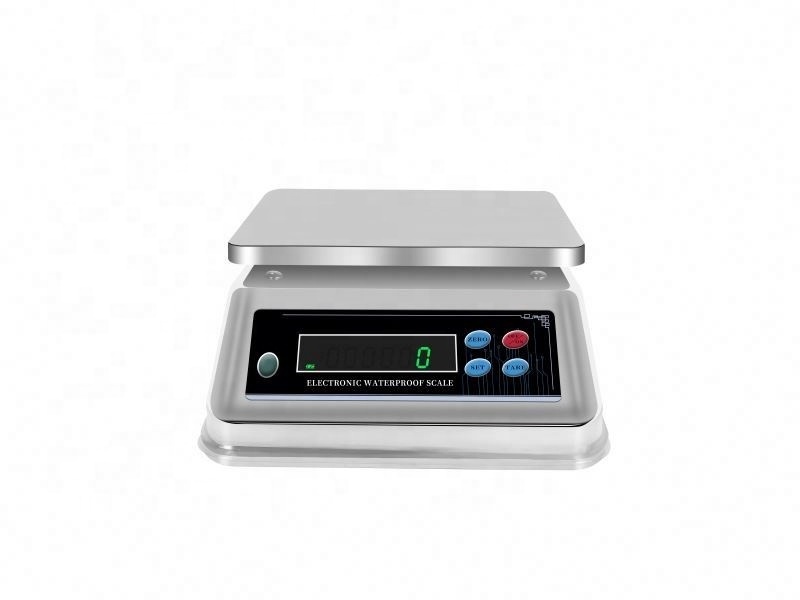 3kg 6kg 15kg 30kgElectronic Ip68 Waterproof Weighing Scale Stainless Steel Digital Weighing Bench Scale