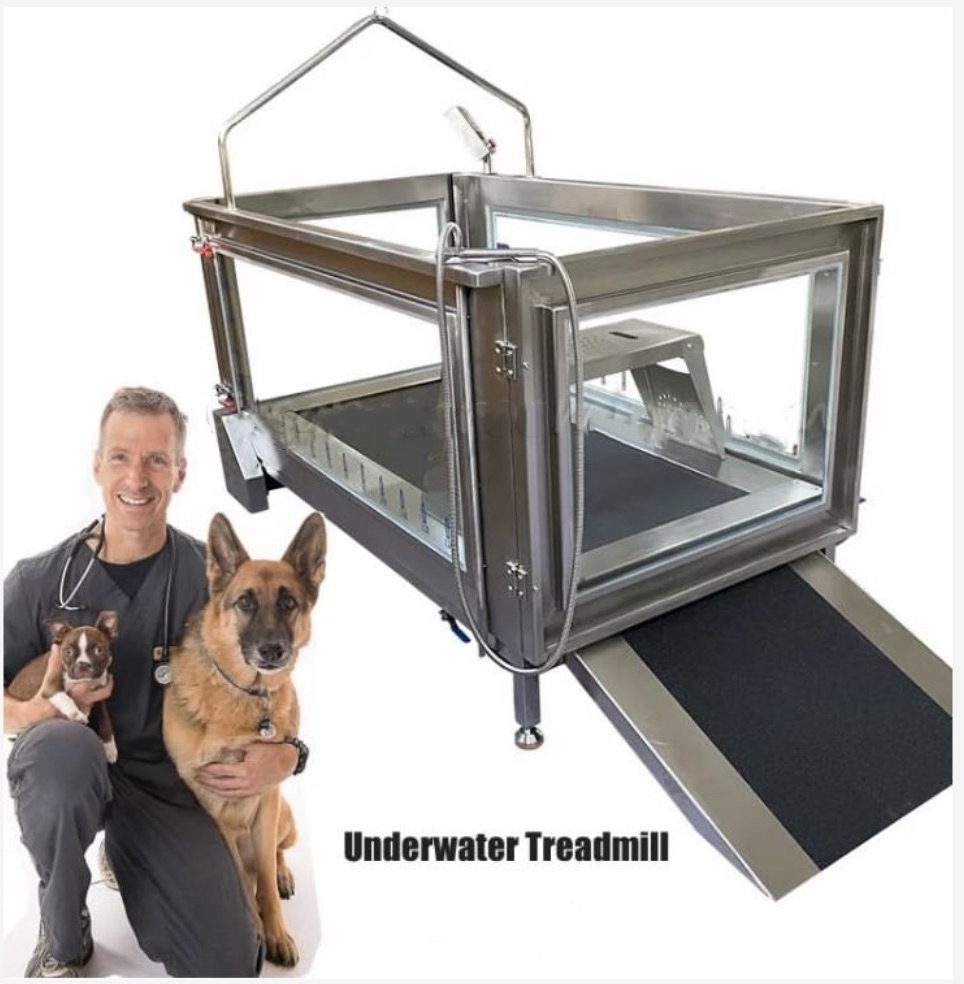 YS-C380 Canine Hydrotherapy Treadmill underwater treadmill for dogs