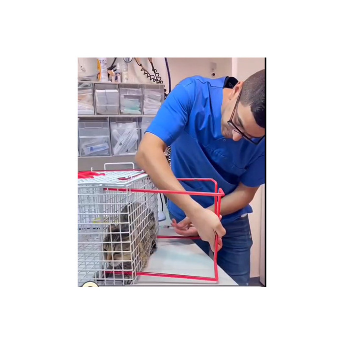 Pujia PJDZ-02 stainless steel wire veterinary portable injection cage for cat