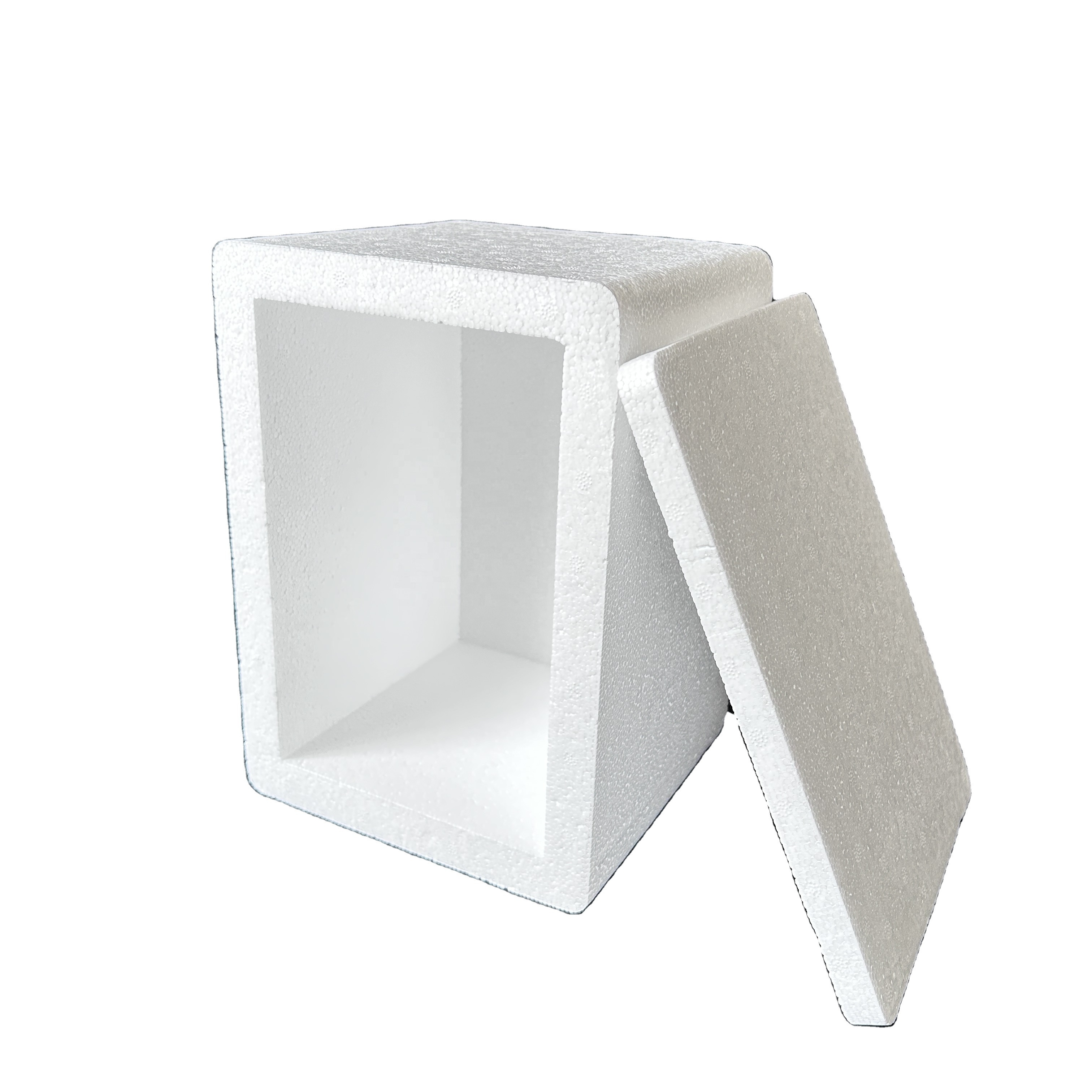 EPS Polystyrene Cooler Box with Foam Protection EPE & EPE Foam Material