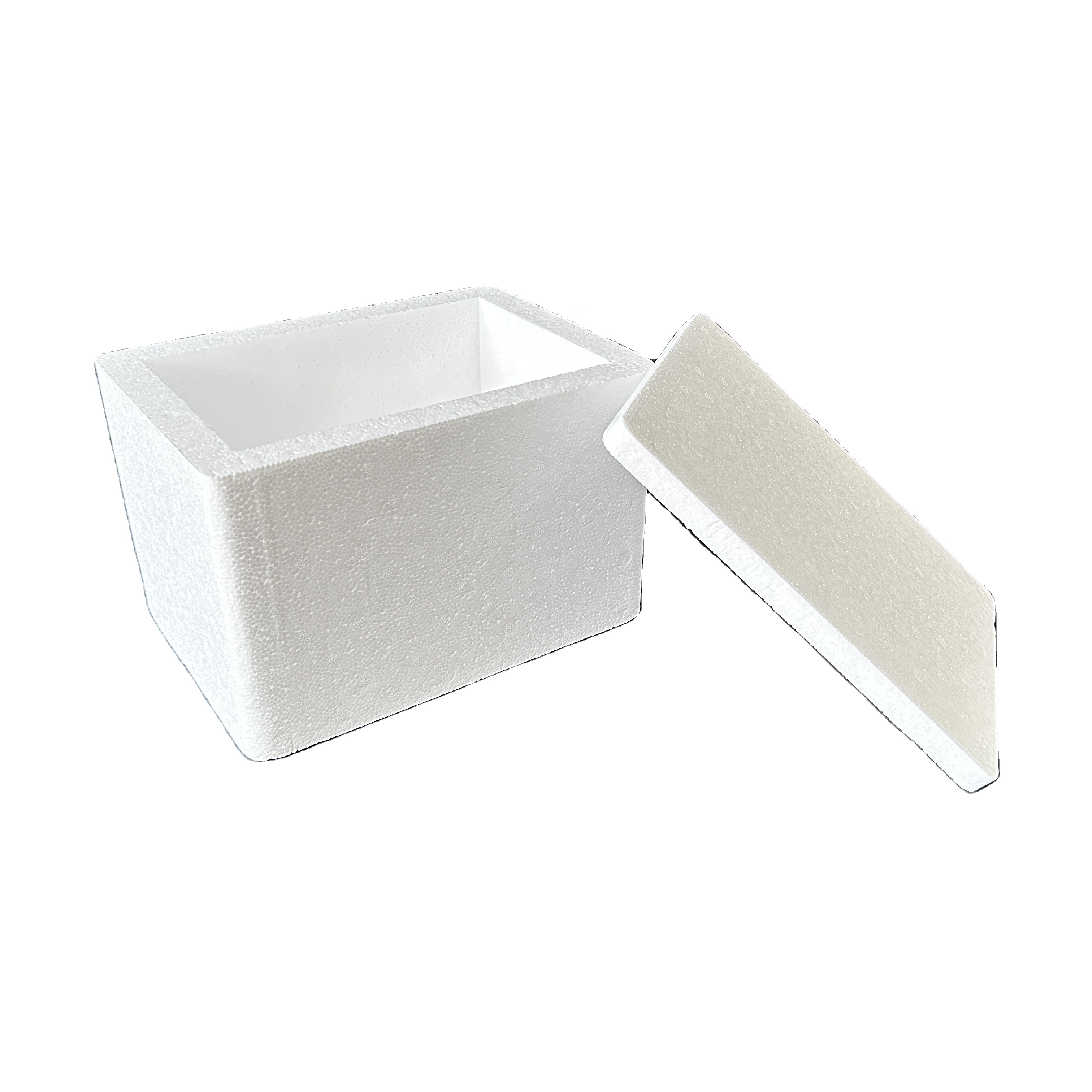 EPS Polystyrene Cooler Box with Foam Protection EPE & EPE Foam Material