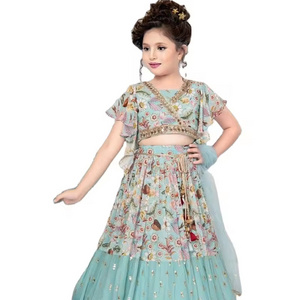 Beautiful Handmade Traditional Festival Wear Butterfly Net Kids Fancy Ghagra Choli Ethnic Garba Dance Costumes