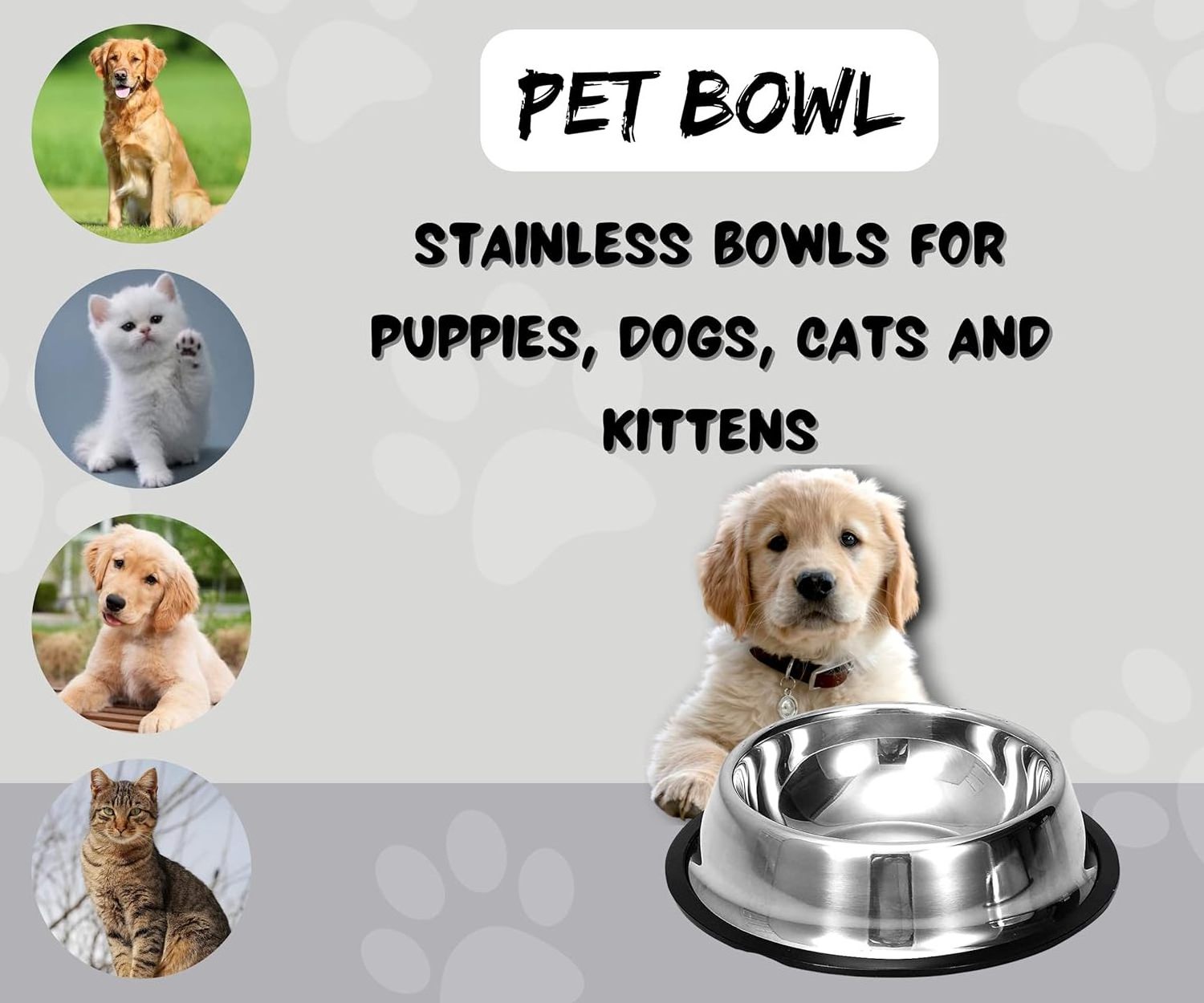 Non-Skid Premium Stainless Steel Bowl Feeder For Cat Dog Rubber Base Fully Customized Dishwasher safe Easy to clean Unbreakable