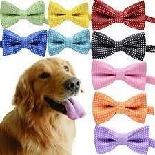 Wholesale Manufacturer Easy to put on and take off wholesale dreamlike Colorful pet cotton dog collar bow tie Accessories