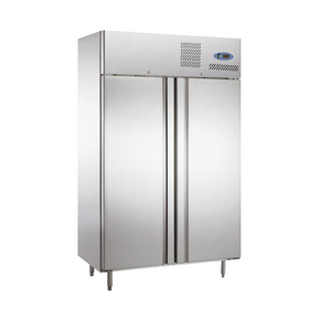 Fan Cooling 2 Doors Freezer Double-door quick freezer with removable internal shelf