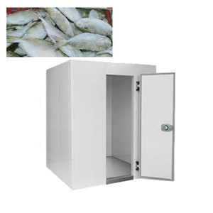 Manufacturer walk in cold fish storage freezer 20ft/40ft container cold room solar powered cold rooms price for sale