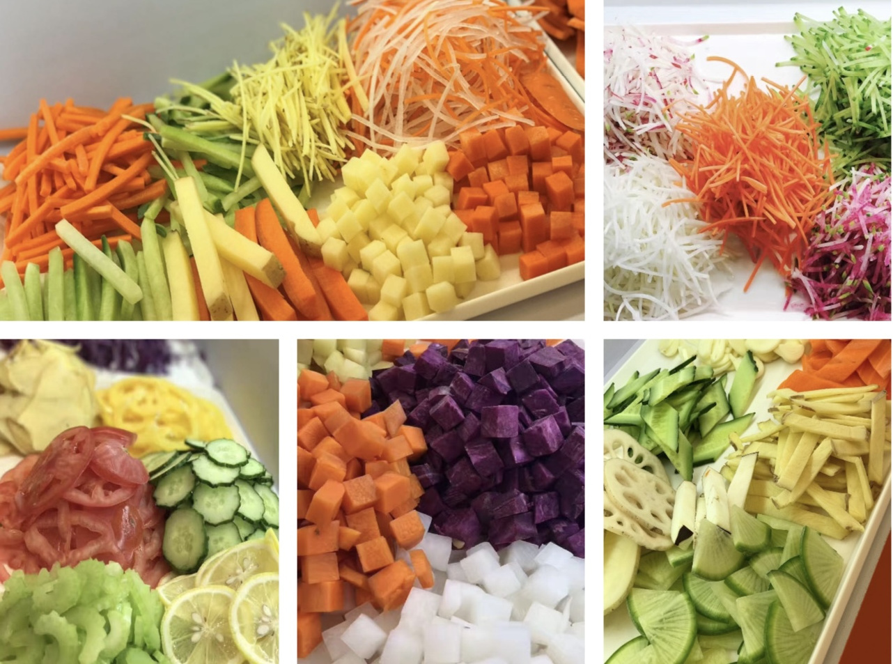 Dremax high quality multi food slicer vegetable cutter food chopper