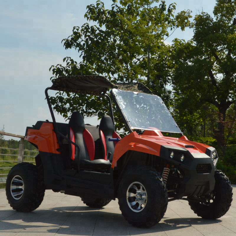 Powerful off road 2200w 3000w adult electric UTV