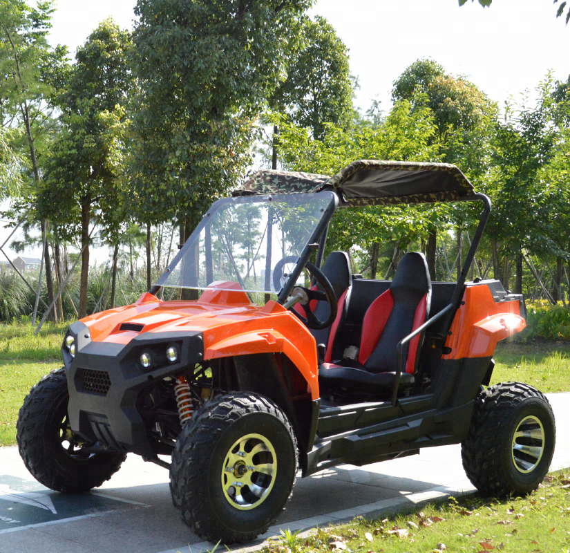 Powerful off road 2200w 3000w adult electric UTV