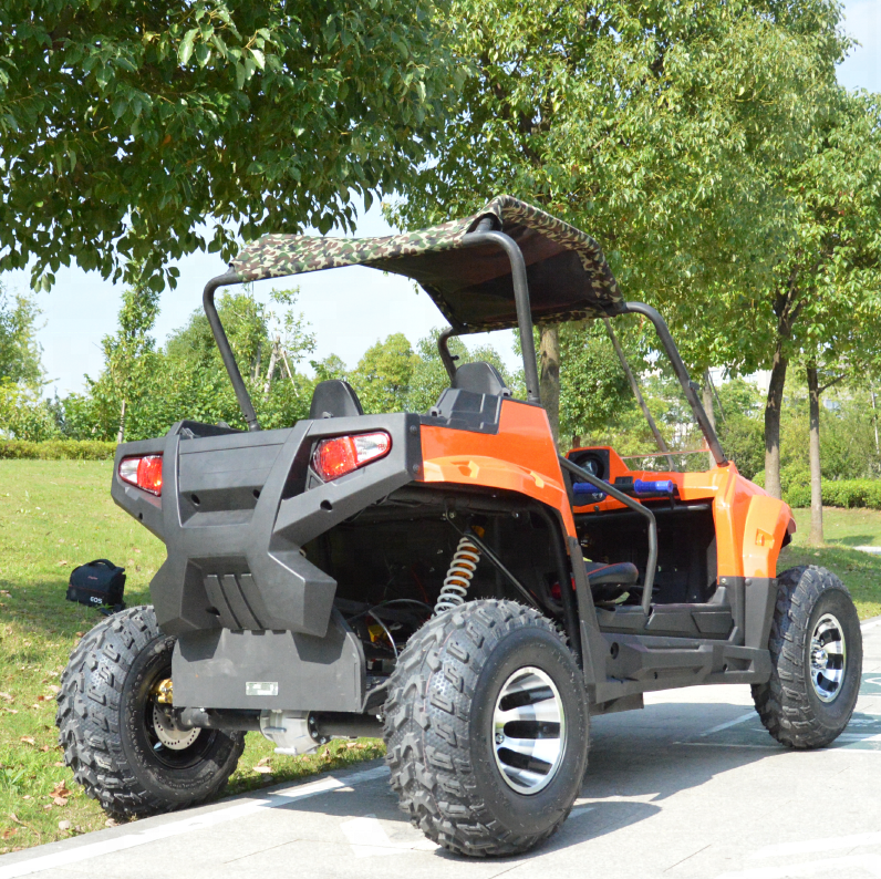 Powerful off road 2200w 3000w adult electric UTV