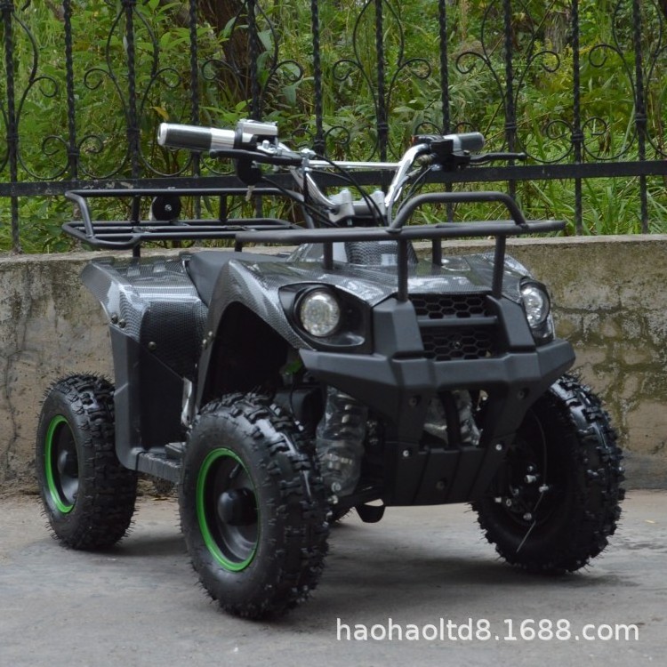 high quality cheap  electric atv 500w 800w 1000w electric motorcycles  mini  quad